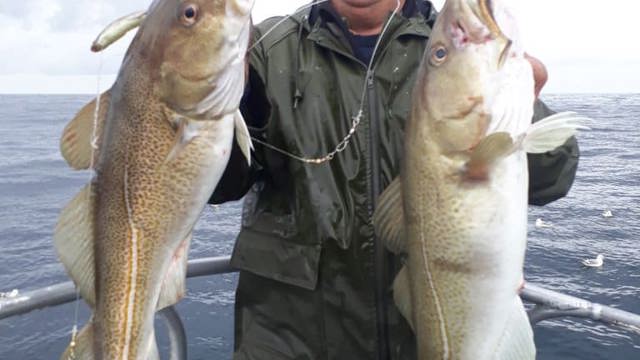 gule rev go fishing.jpg (1)