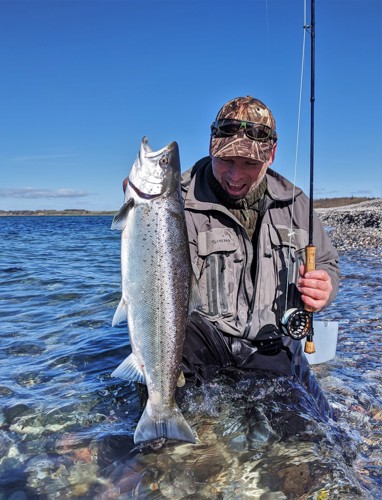 70 cm havørred fra Ærø