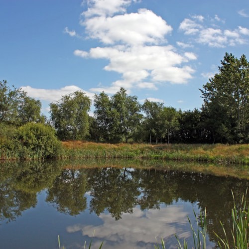 Terkelsbøl Lystfiskeri & Camping