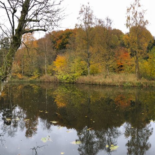 Søbyvad Mølle Fiskesø