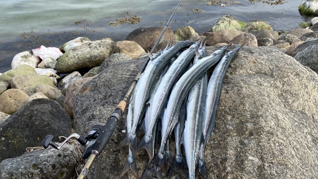 Fishing Zealand.JPG (2)