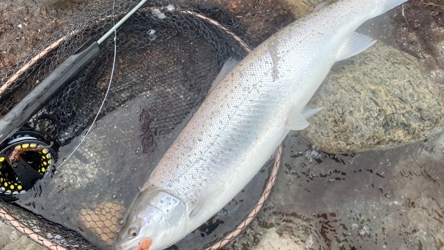 Fishing Zealand_2.jpg