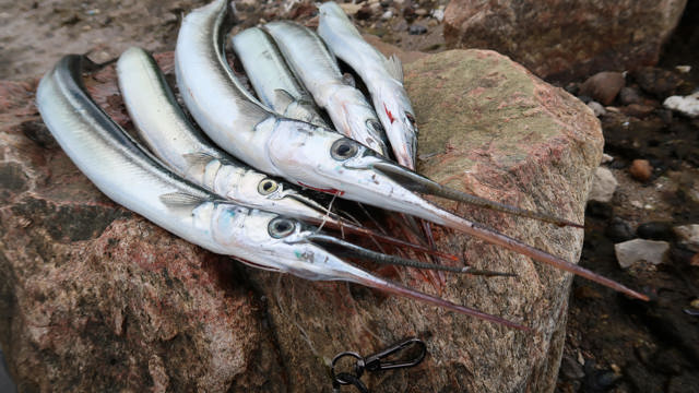 madens folkemøde.JPG