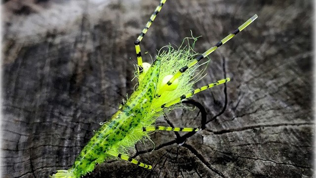 kenneth-giese-fluo-green-shrimp_2.jpg