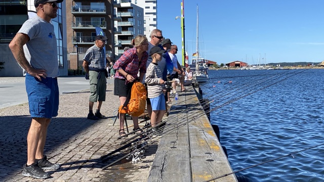 Fjordens Dag_Holbæk 2025_2.JPEG